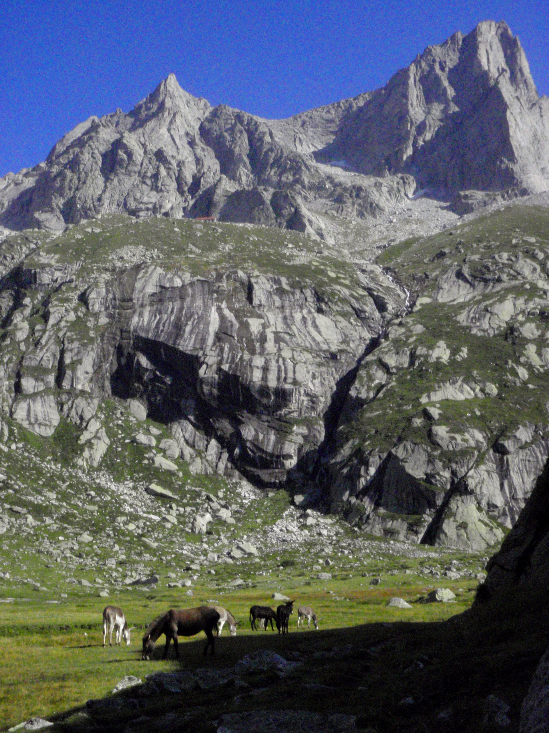 val di zocca we włoskich alpach